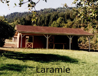 Laramie_1_Small_V2 (37K)