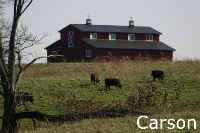 Carson_1_Small_V2 (26K)