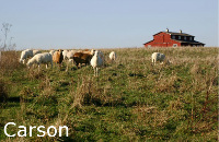 Carson_2_Small_V2 (29K)