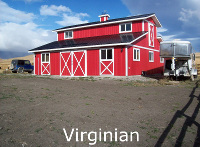 Virginian_2_Small_V2 (74K)