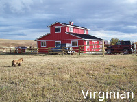 Virginian_4_Small_V2 (74K)